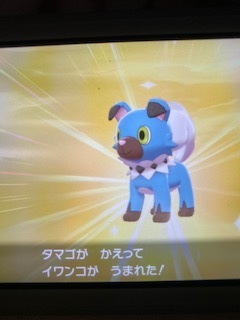 イワンコのいろち ポケモンとv系と初心者ドラム